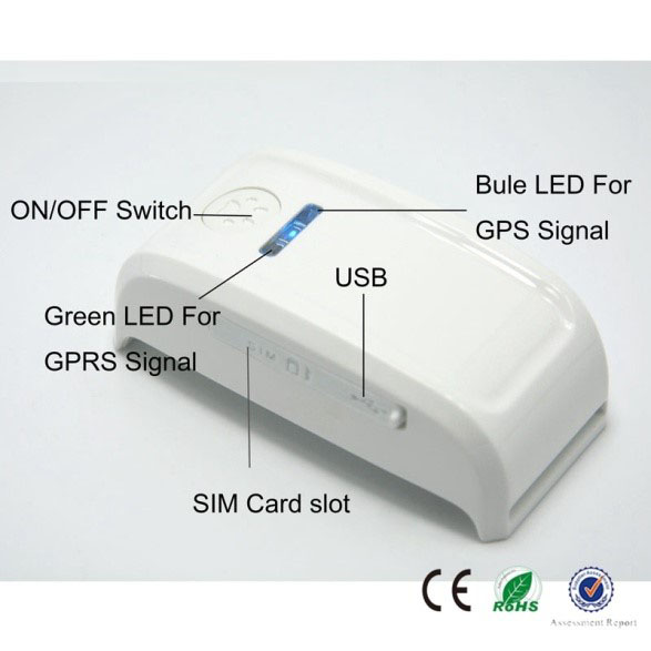 Định vị cho người và thú cưng - bảo vệ yêu thương